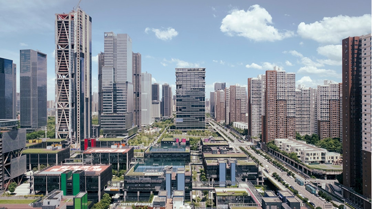 Large-Scale Projects